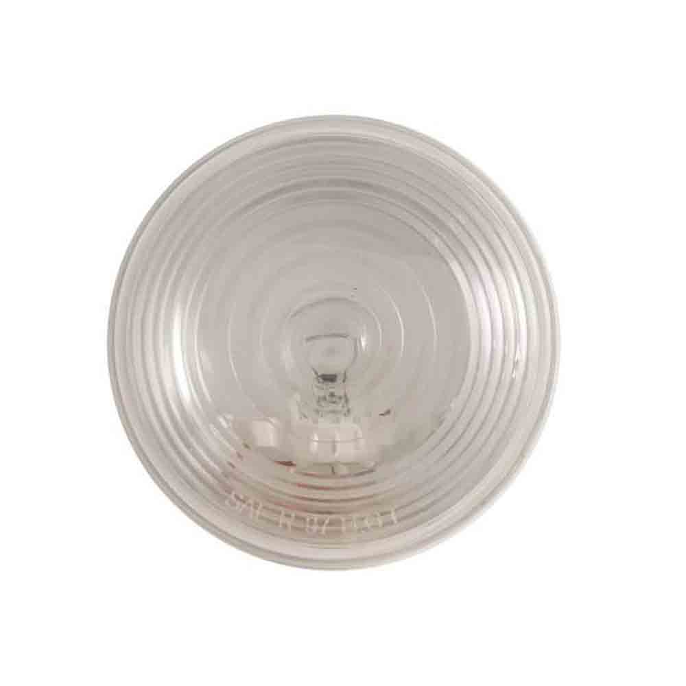 Clear Back-Up Light