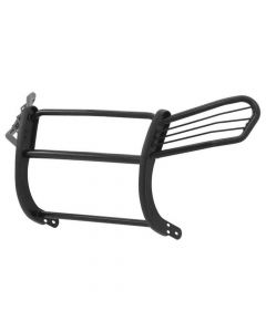 Aries Grille Guard