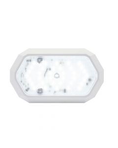 Surface Mount LED Dome Light with White Base and Trim Ring, No Switch