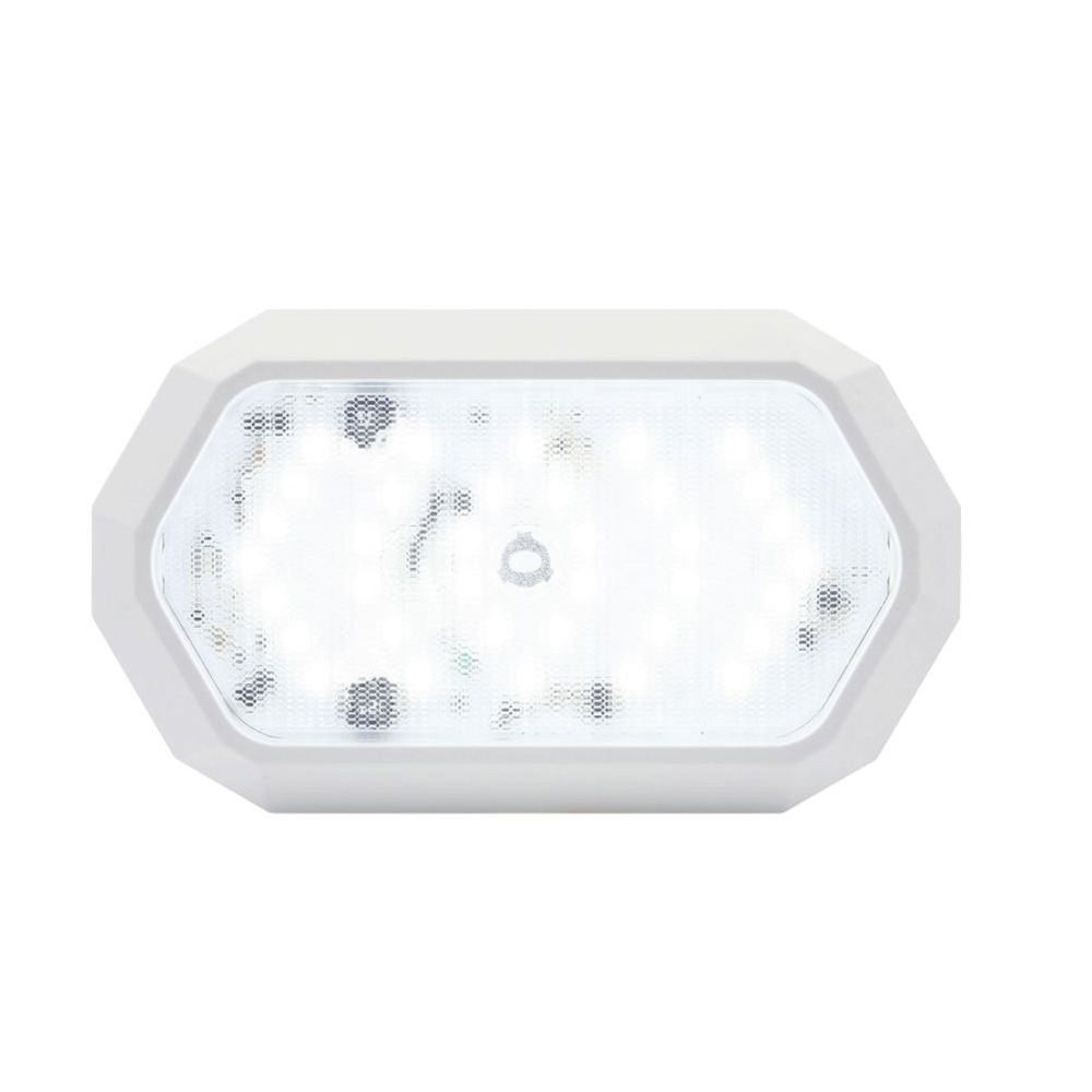 Surface Mount LED Dome Light with White Base and Trim Ring, No Switch